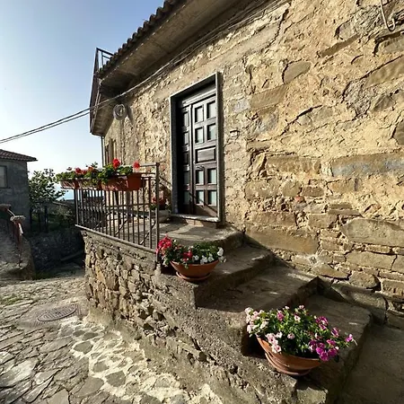 Domus Petra 3*