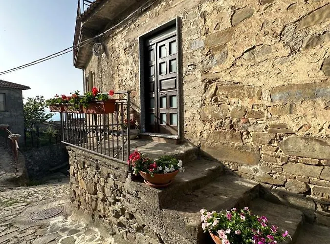 Domus Petra 3*
